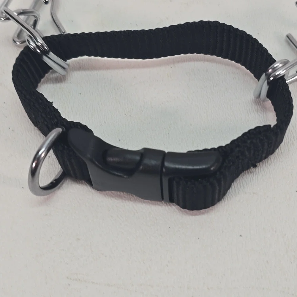 Coastal Titan Easy-On Dog Prong Training Collar with Buckle 14